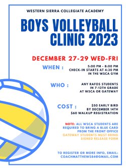 volleyball clinic details below